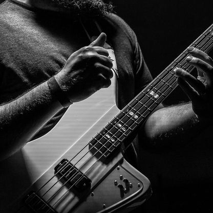 MONDATA BASS DELUXE