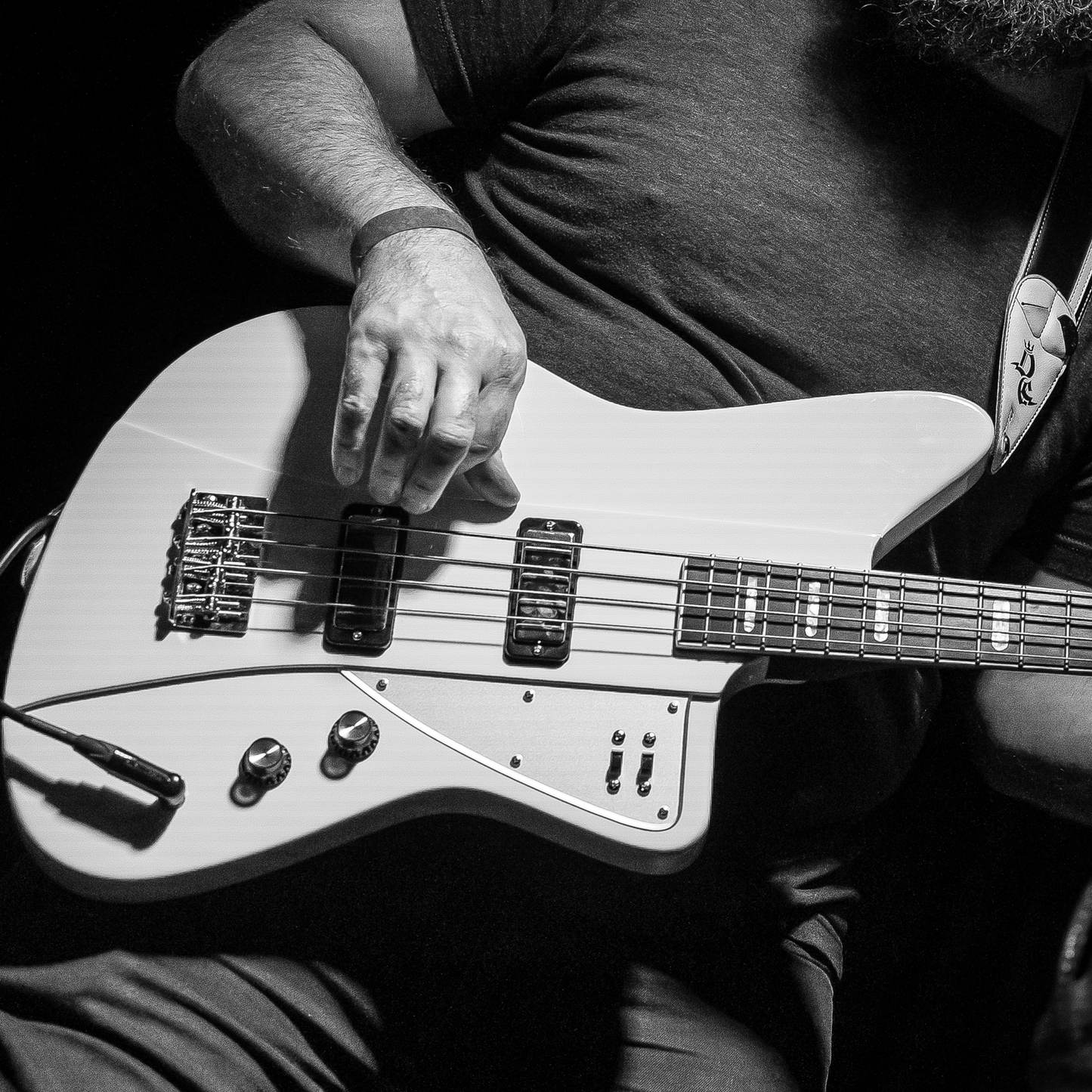 MONDATA BASS DELUXE