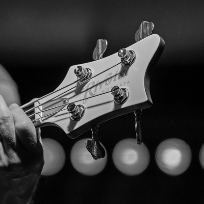 MONDATA BASS DELUXE
